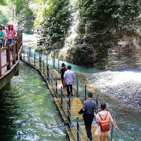 重慶萬盛黑山谷生態浮橋
