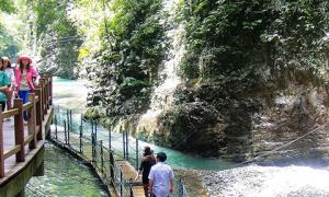 重慶萬盛黑山谷生態浮橋