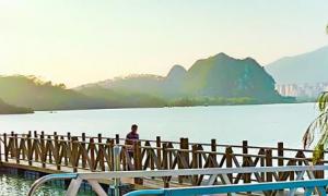 鋁合金活動(dòng)引橋