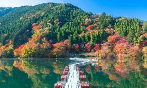 秋日私語，踏上這座浮橋，盡享湖光山色